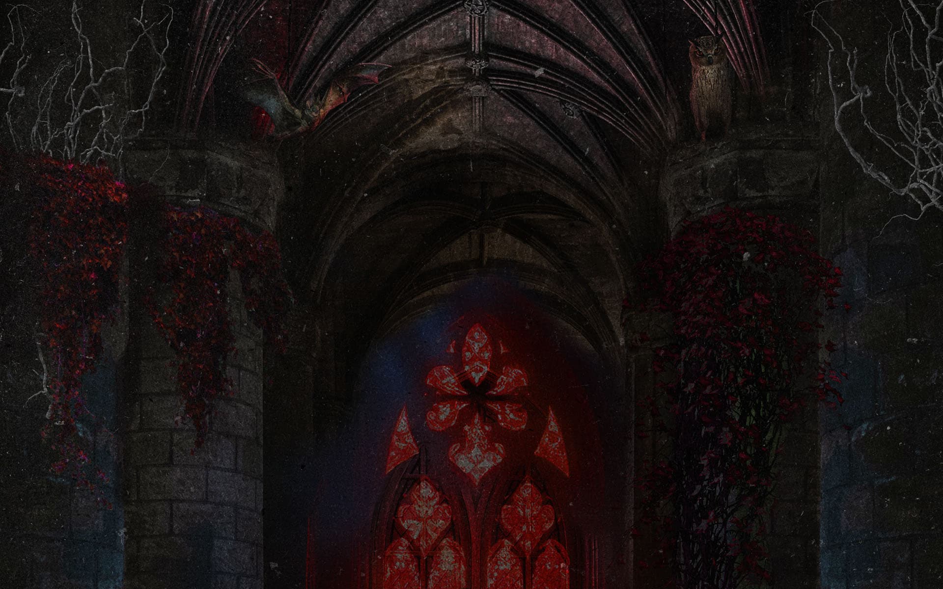 banner image