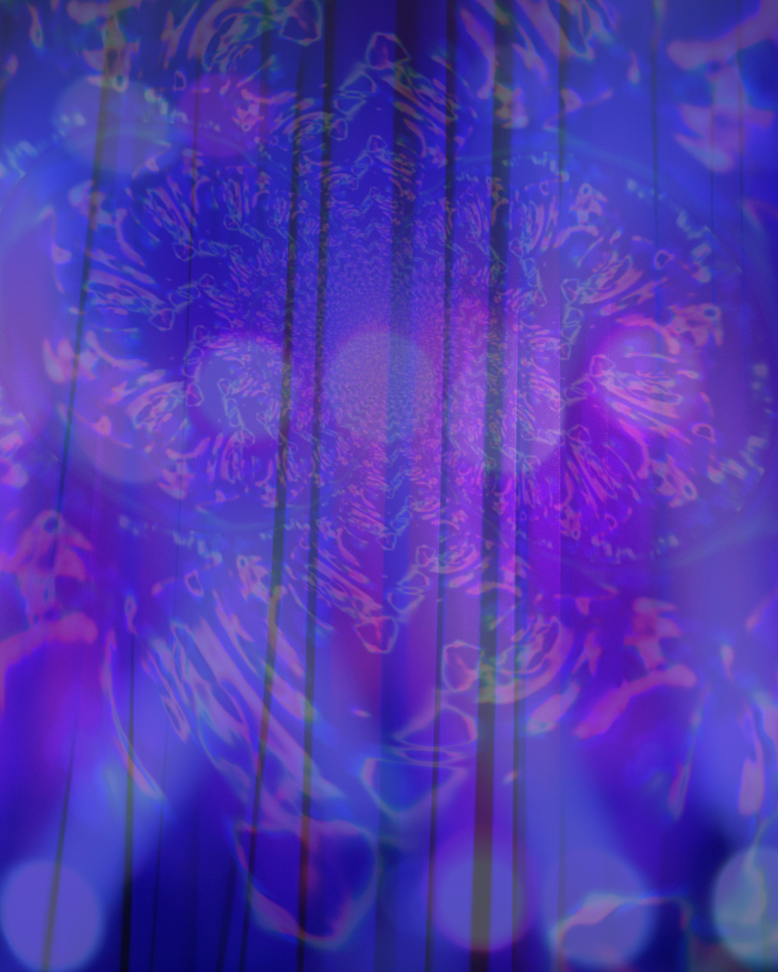 banner image