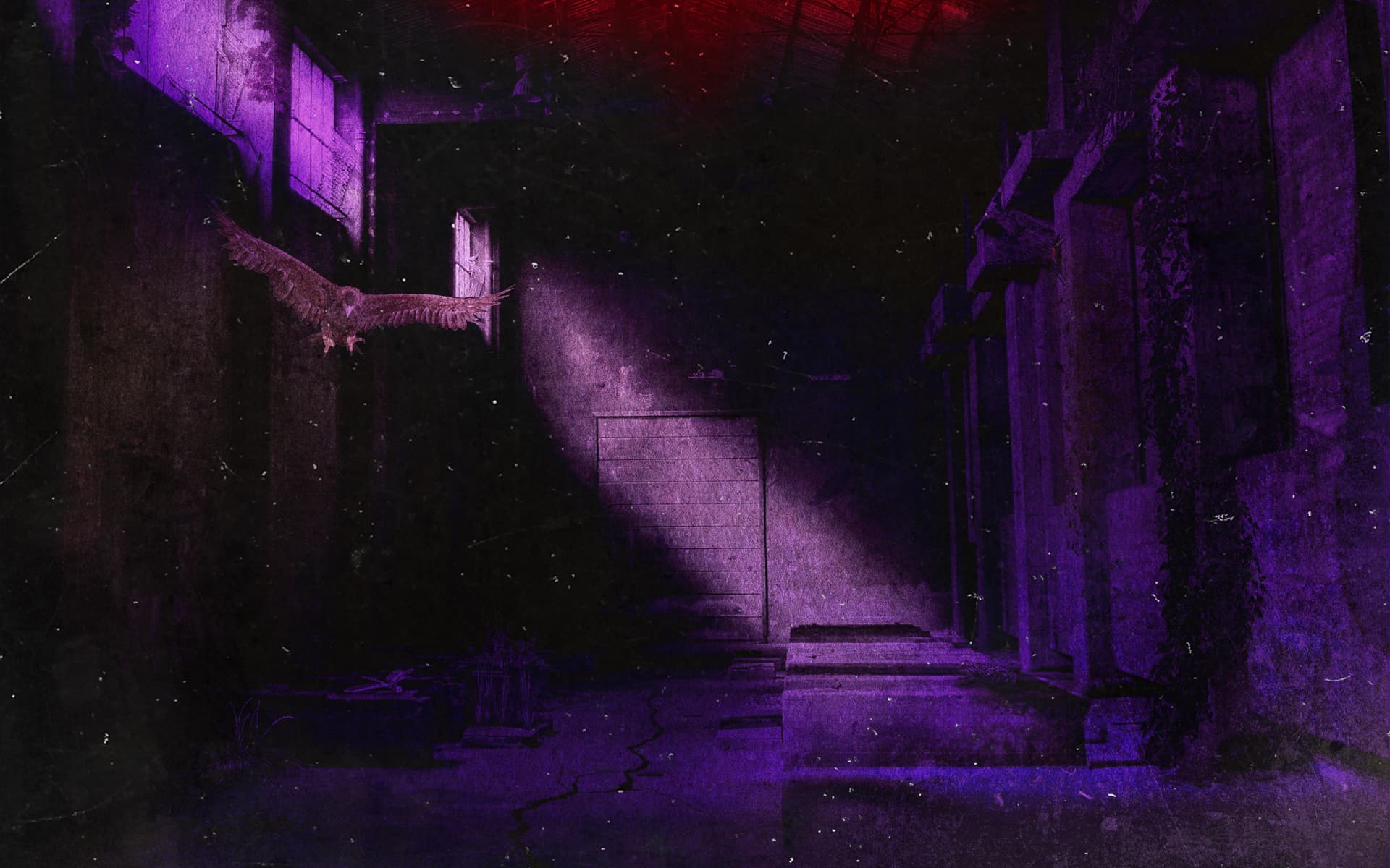 banner image