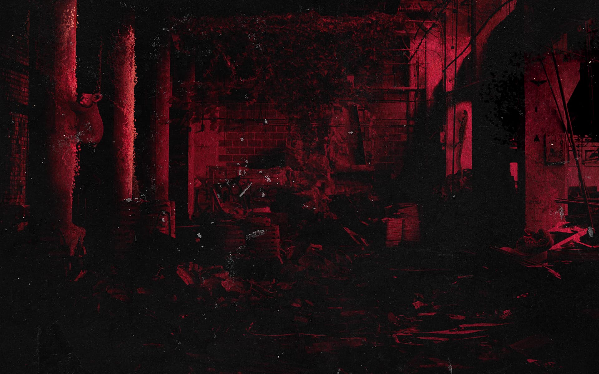 banner image