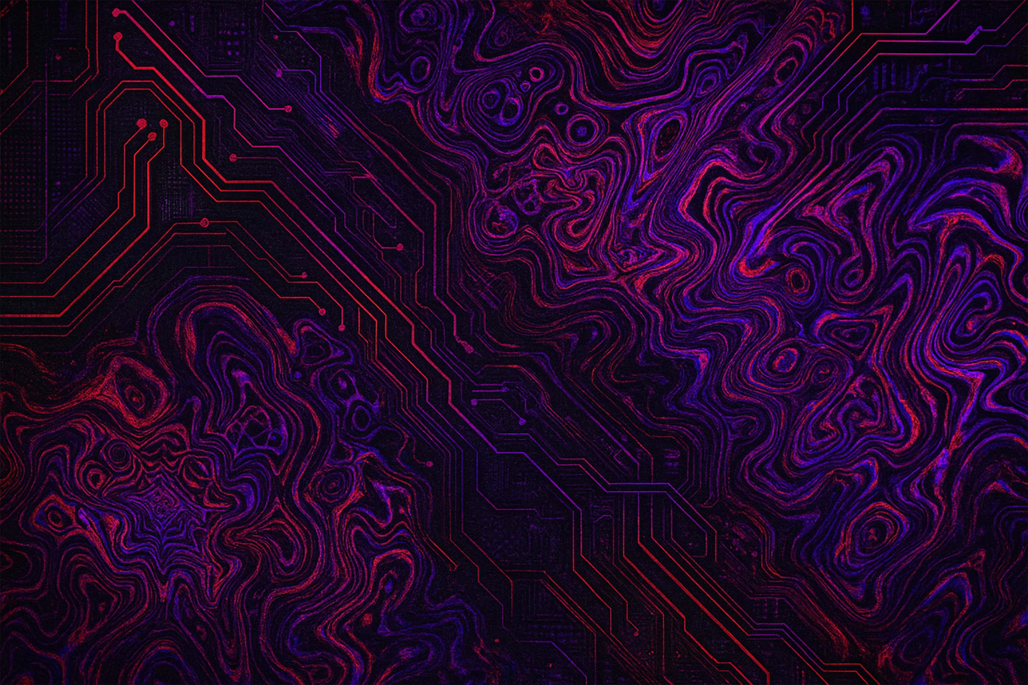 banner image